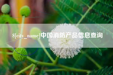 阜阳中国消防产品信息查询