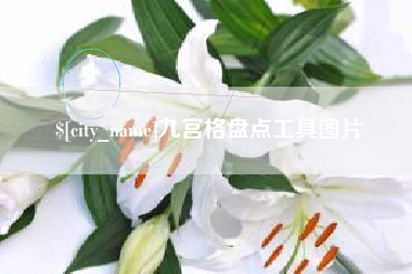 阜阳九宫格盘点工具图片
