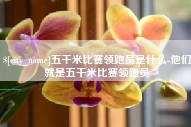 阜阳五千米比赛领跑员是什么-他们就是五千米比赛领跑员