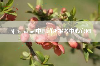 阜阳中国消防报考中心官网