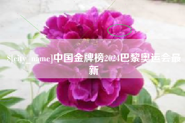 阜阳中国金牌榜2024巴黎奥运会最新
