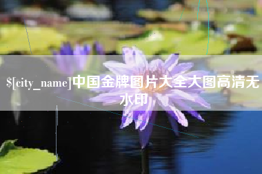 阜阳中国金牌图片大全大图高清无水印