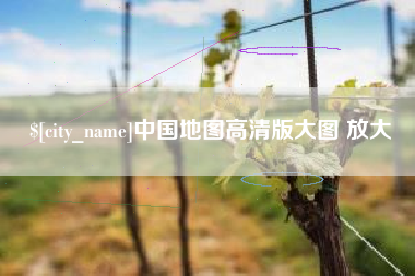 阜阳中国地图高清版大图 放大