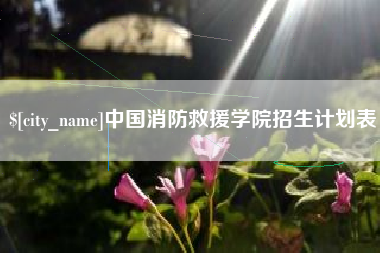 阜阳中国消防救援学院招生计划表