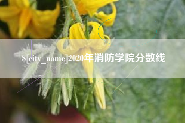 阜阳2020年消防学院分数线