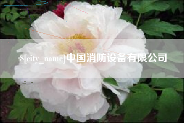 阜阳中国消防设备有限公司