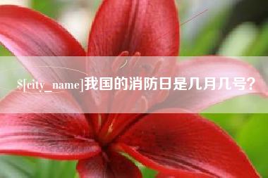 阜阳我国的消防日是几月几号？