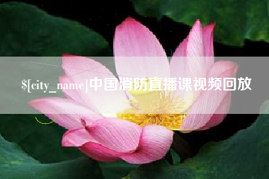 阜阳中国消防直播课视频回放