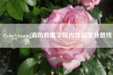 阜阳消防救援学院内部招生分数线