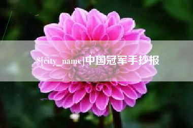 阜阳中国冠军手抄报