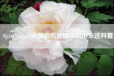 阜阳中国消防救援学院山东选科要求