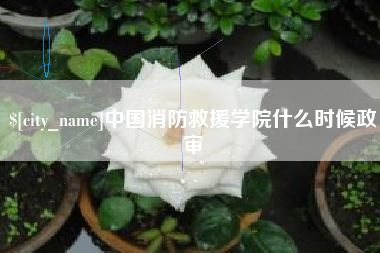 阜阳中国消防救援学院什么时候政审