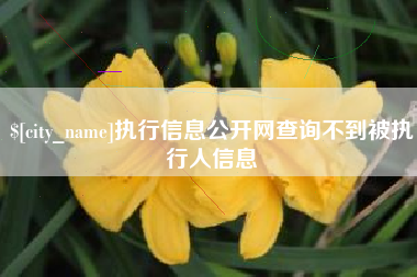 阜阳执行信息公开网查询不到被执行人信息