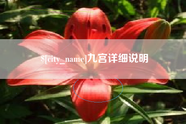 阜阳九宫详细说明
