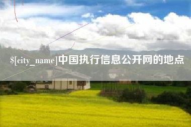 阜阳中国执行信息公开网的地点