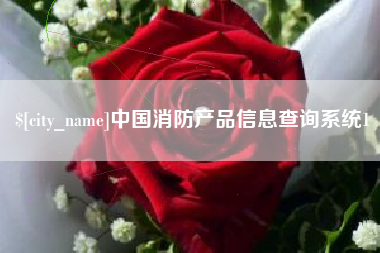 阜阳中国消防产品信息查询系统1