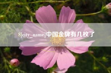 阜阳中国金牌有几枚了