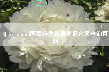 阜阳国家应急救援员报名网查询官网