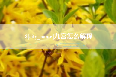 阜阳九宫怎么解释