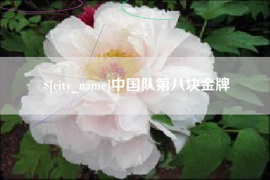 阜阳中国队第八块金牌