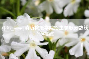 阜阳消防救援学院招生录取分数线2020福建