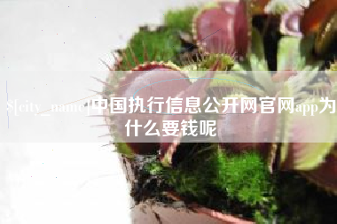 阜阳中国执行信息公开网官网app为什么要钱呢