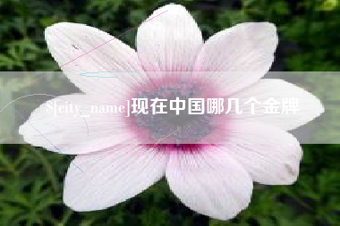阜阳现在中国哪几个金牌