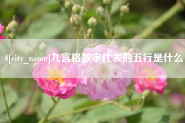 阜阳九宫格数字代表的五行是什么