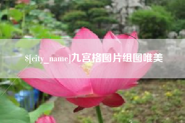 阜阳九宫格图片组图唯美