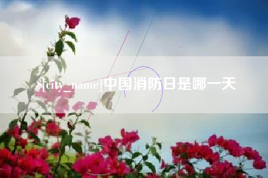 阜阳中国消防日是哪一天