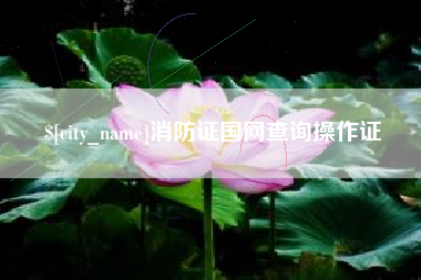 阜阳消防证国网查询操作证