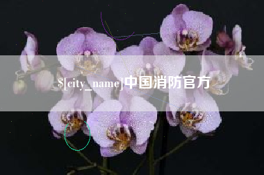 阜阳中国消防官方