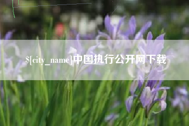 阜阳中国执行公开网下载