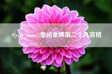 阜阳奥运金牌第二个九宫格