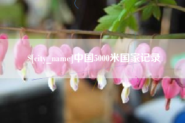 阜阳中国5000米国家记录