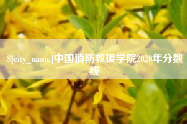 阜阳中国消防救援学院2020年分数线