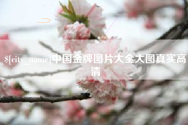 阜阳中国金牌图片大全大图真实高清