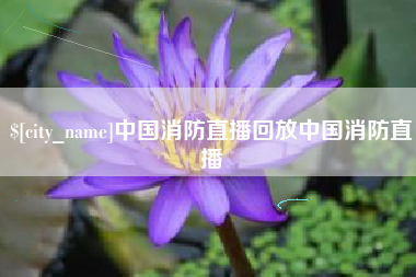 阜阳中国消防直播回放中国消防直播