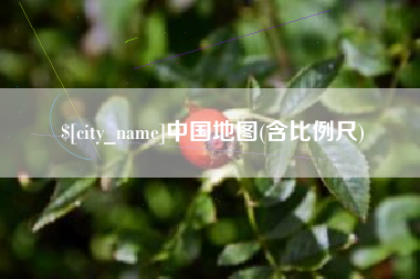 阜阳中国地图(含比例尺)