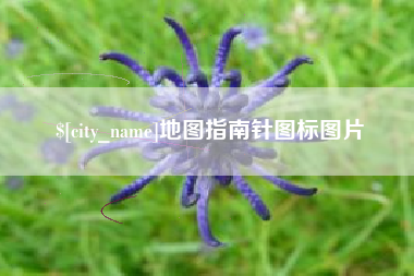 阜阳地图指南针图标图片