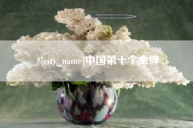 阜阳中国第十个金牌
