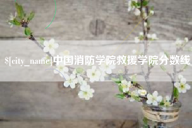阜阳中国消防学院救援学院分数线