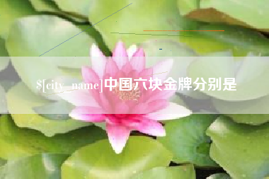 阜阳中国六块金牌分别是