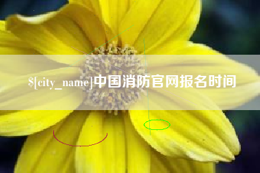 阜阳中国消防官网报名时间