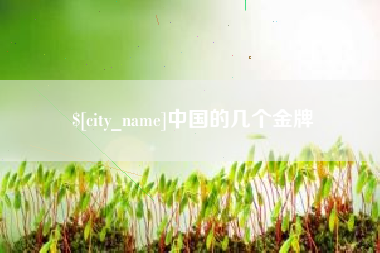 阜阳中国的几个金牌