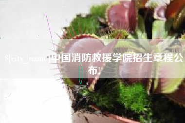 阜阳中国消防救援学院招生章程公布!
