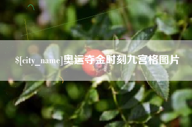 阜阳奥运夺金时刻九宫格图片