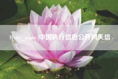 阜阳中国执行信息公开网失信