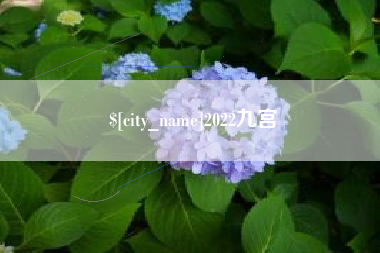 阜阳2022九宫