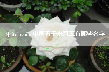 阜阳中国五千米冠军有哪些名字